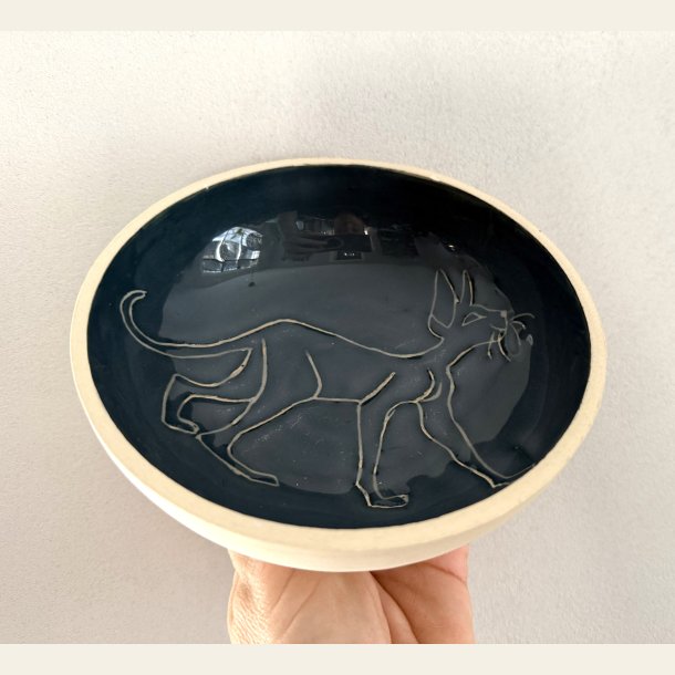 Katteskl - Orientaler