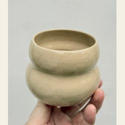 Kop i mushroom farvet